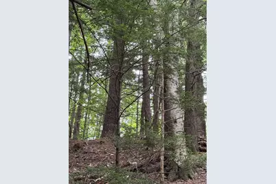 0 North Street, Whately, MA 01093 - Photo 8