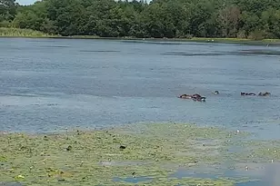 17 Lisa Dr, Taunton, MA 02780 - Photo 20