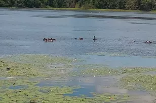 17 Lisa Dr, Taunton, MA 02780 - Photo 6