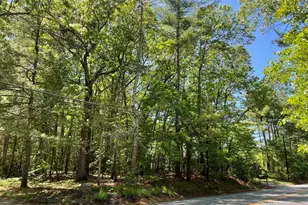 61 B Walden St, Concord, MA 01742 - Photo 2