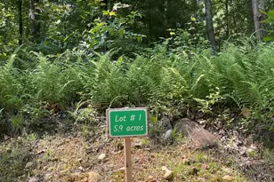 291 Warren Rd, Brimfield, MA 01010 - Photo 1