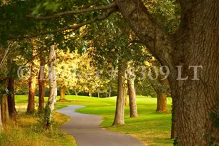 60 Fletcher Ln, Brewster, MA 02631 - Photo 24