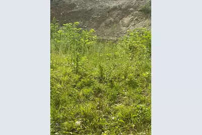 31 Walsh Ave, Auburn, MA 01501 - Photo 4