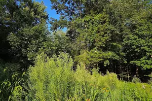 195 E Main St, Norton, MA 02766 - Photo 14