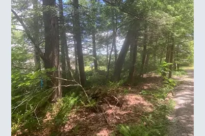 0 Lion Hill Rd, Otis, MA 01253 - Photo 6