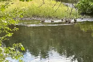 2653 Providence Rd, Northbridge, MA 01534 - Photo 2