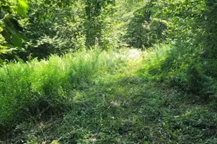 Lot 39 22 Main St, Becket, MA 01223 - Photo 1