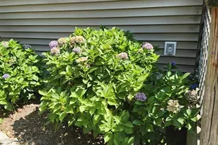 56 Bunnys Rd, Carver, MA 02330 - Photo 6