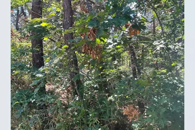 10 Shadbush, Mashpee, MA 02649 - Photo 10