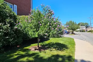 35 Prospect St, Woburn, MA 01801 - Photo 38