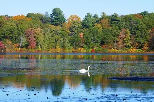 2 Hammond Pond Pkwy, Newton, MA 02467 - Photo 34