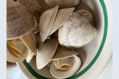 63 Old Kings Hwy, Truro, MA 02667 - Photo 10