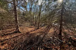 44 Federal St, Blackstone, MA 01504 - Photo 12