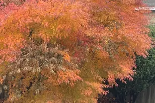 66 Lowell Rd, Winthrop, MA 02152 - Photo 30