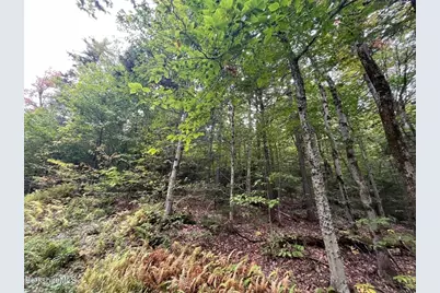 0 Manley Phelps Road, Monroe, MA 01350 - Photo 10