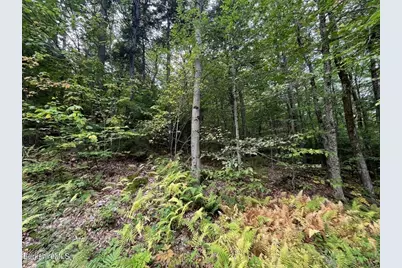 0 Manley Phelps Road, Monroe, MA 01350 - Photo 14