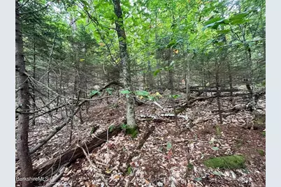 0 Manley Phelps Road, Monroe, MA 01350 - Photo 6