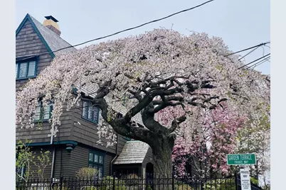 84 Garden St, Cambridge, MA 02138 - Photo 8