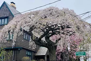 84 Garden St, Cambridge, MA 02138 - Photo 8