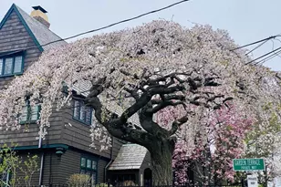 84 Garden St, Cambridge, MA 02138 - Photo 2