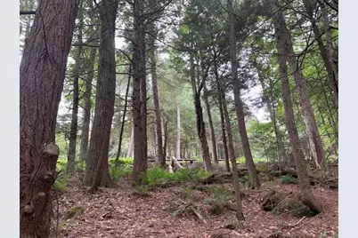 289 Monterey Road, Otis, MA 01253 - Photo 18