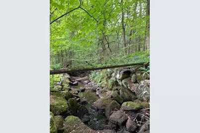 289 Monterey Road, Otis, MA 01253 - Photo 4