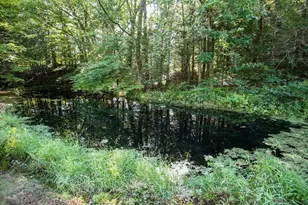 240 Beldingville Rd, Ashfield, MA 01011 - Photo 36