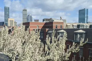 86 West Springfield, Boston, MA 02118 - Photo 38