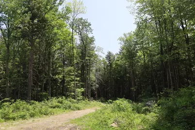 Lot 3 Yokum Pond Rd, Becket, MA 01223 - Photo 6