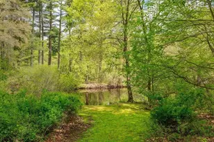 37 Cottage Cir, Dedham, MA 02026 - Photo 18