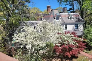 241 Perkins, Boston, MA 02130 - Photo 10