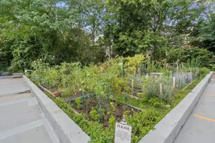 250 Hammond Pond Parkway, Newton, MA 02467 - Photo 30