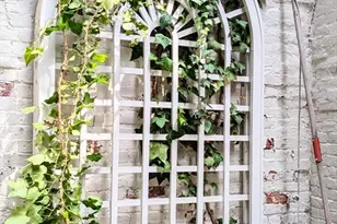 11 W Cedar St, Boston, MA 02108 - Photo 6