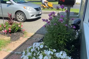 262 Homeland Dr, Whitman, MA 02382 - Photo 2