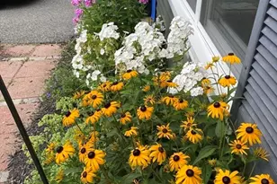 262 Homeland Dr, Whitman, MA 02382 - Photo 8