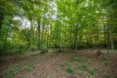 Lot 0 Dublin, Richmond, MA 01254 - Photo 1