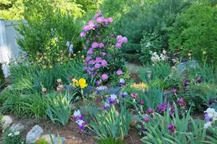 6 Silas Dr, Northborough, MA 01532 - Photo 38