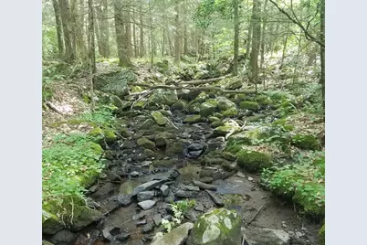 266 Holland Rd, Sturbridge, MA 01518 - Photo 8