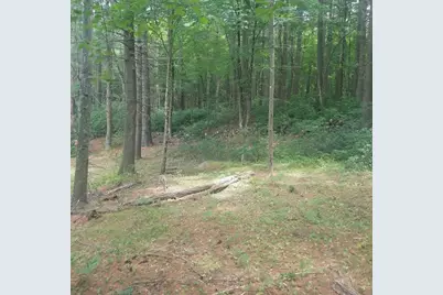 266 Holland Rd, Sturbridge, MA 01518 - Photo 12