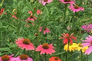 139 Water St, Northampton, MA 01053 - Photo 30