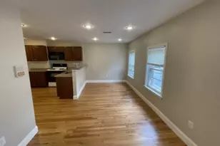 13 Pompeii St, Boston, MA 02119 - Photo 8