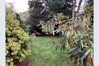 3 Glenoe Rd, Brookline, MA 02467 - Photo 6