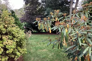 3 Glenoe Rd, Brookline, MA 02467 - Photo 6