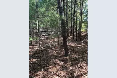 35 Silva St, Carver, MA 02330 - Photo 20