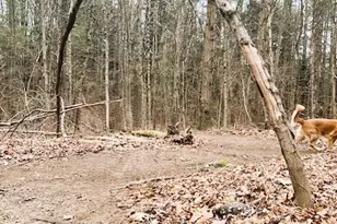 960 Westhampton Rd, Northampton, MA 01062 - Photo 26