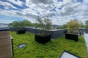 154 Broadway, Somerville, MA 02145 - Photo 32