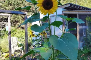 63 Gardner Rd, Hubbardston, MA 01452 - Photo 36