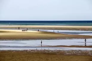 80 Abby Rd, Brewster, MA 02631 - Photo 42