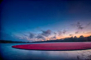 5 Daylily Dr, Plymouth, MA 02360 - Photo 22