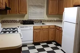 14 Ferndale St, Boston, MA 02124 - Photo 8